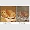 Cat Portrait Oil Painting Hand - gemalt mit Beschaffenheit, Ihr Foto zu eine Malerei zu machen